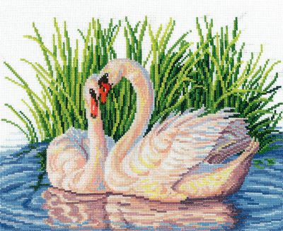 Pair Of Swans